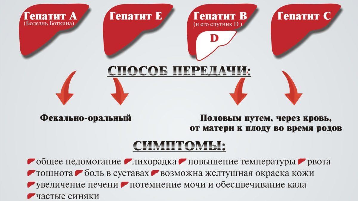 Что делать если у близкого человека гепатит?